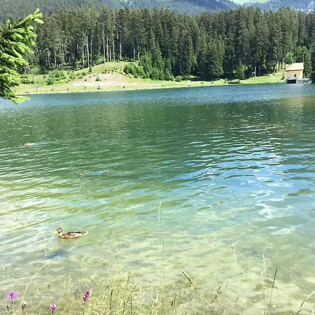 Casa Cresta - Of Lenzerheide - Bis 8 Personen * Valbella