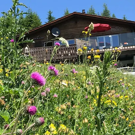 Chalet Casa Cresta - Of Lenzerheide - Bis 8 Personen
