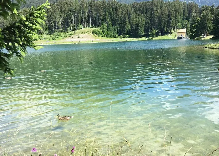 Casa Cresta - Of Lenzerheide - Bis 9 Personen * Вальбелла